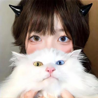 天才第四季
